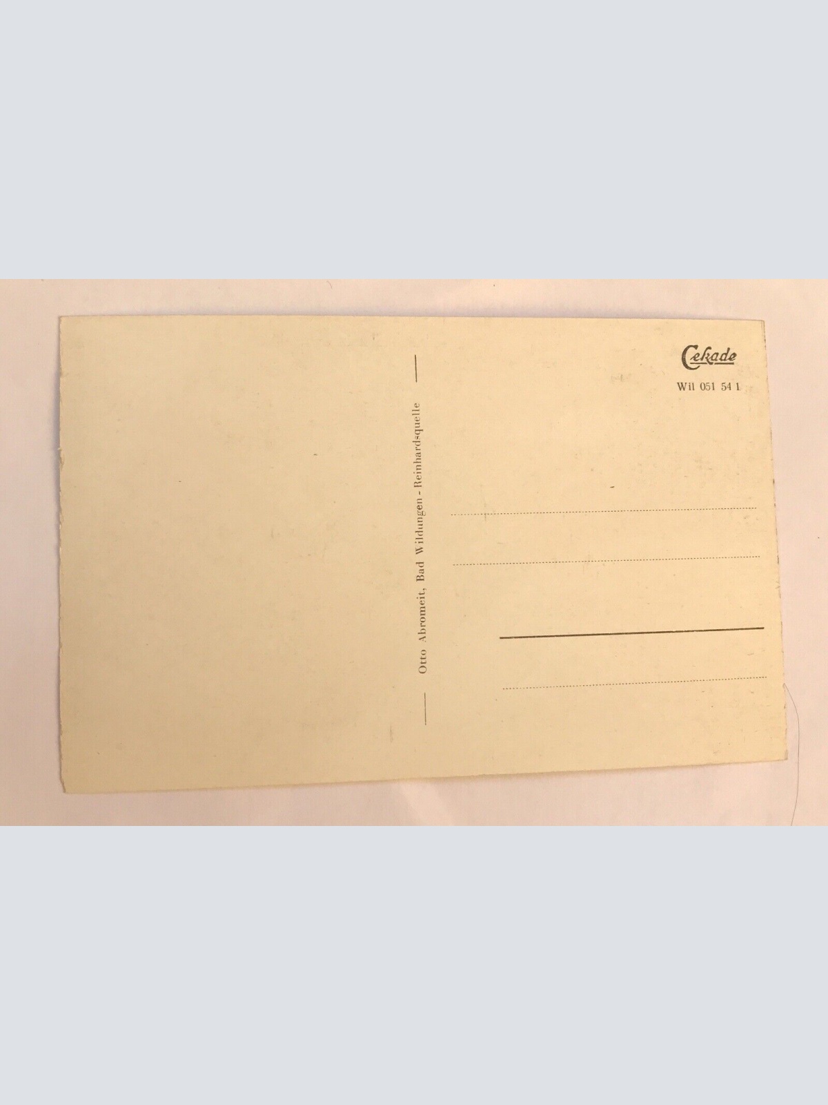 AK, Hessen, Bad Wildungen, Reinhartshausen, Schwanenteich (40007 BW)