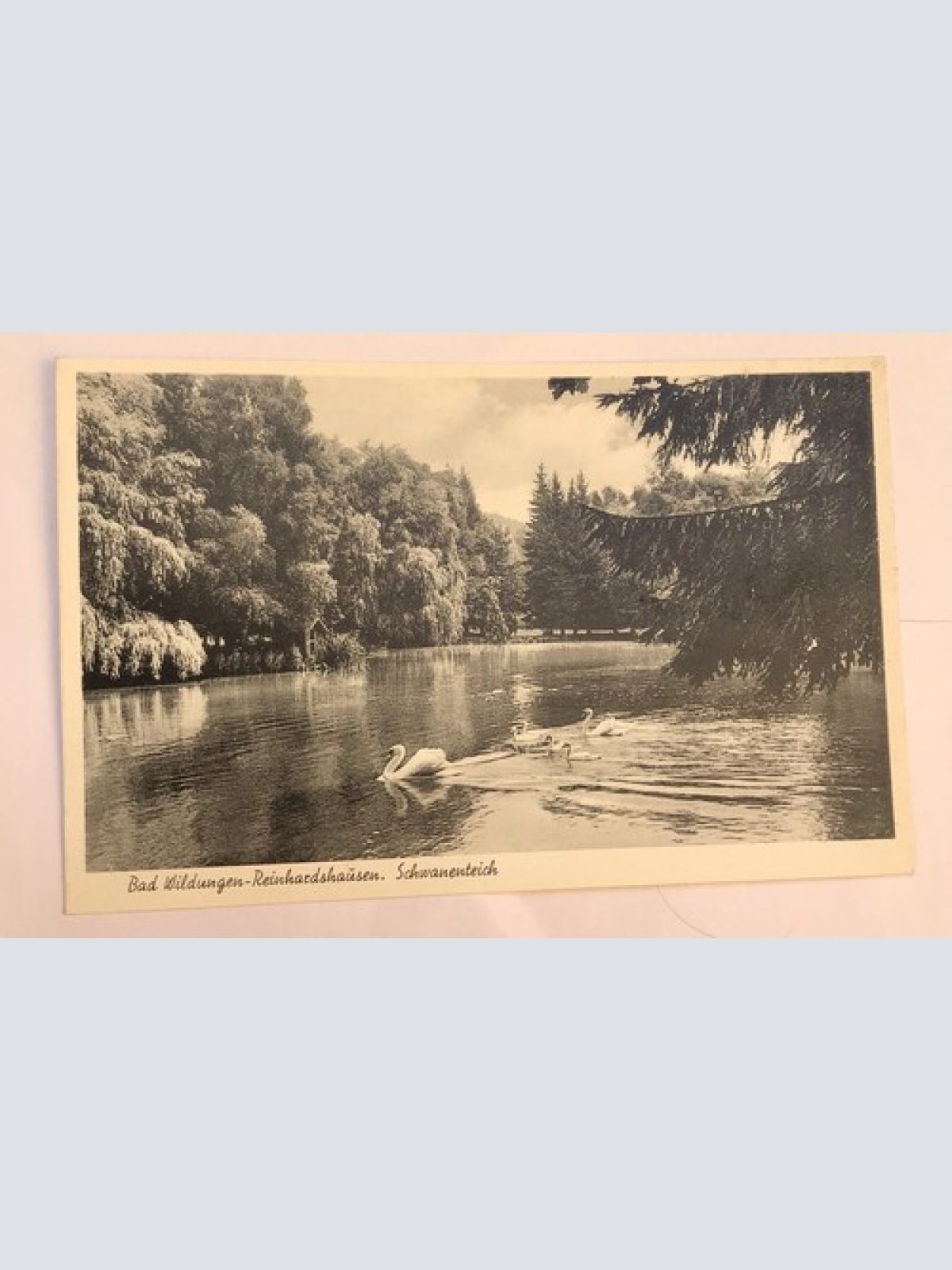 AK, Hessen, Bad Wildungen, Reinhartshausen, Schwanenteich (40007 BW)