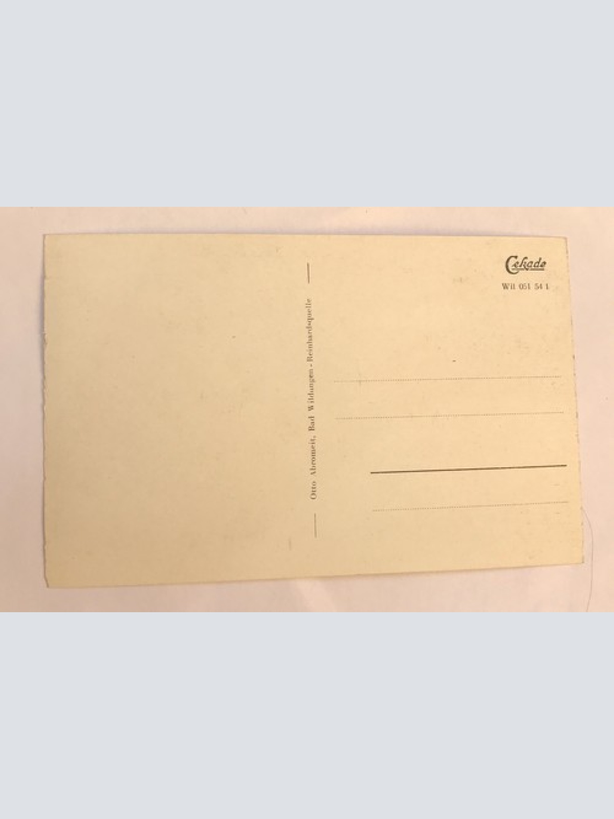 AK, Hessen, Bad Wildungen, Reinhartshausen, Schwanenteich (40007 BW)