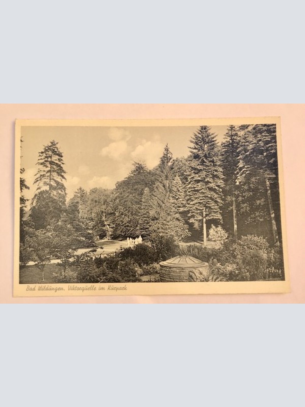 AK, Hessen, Bad Wildungen, Viktorquelle, Kurpark (40009 BW)