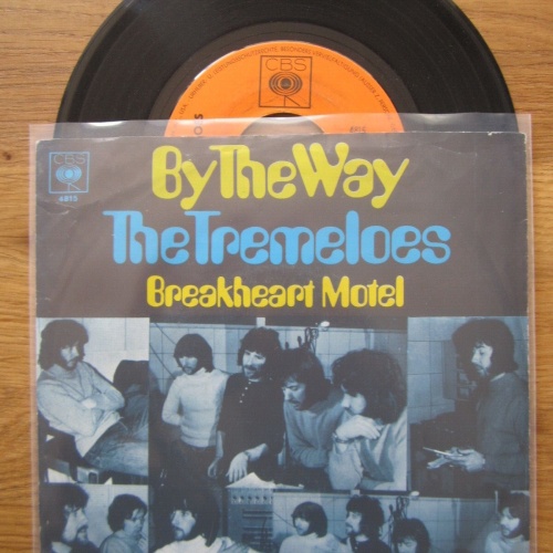 Single /  The Tremeloes – By The Way / DE PRESS /