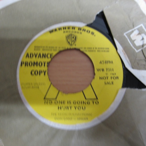 Single / The Neon Philharmonic ?– No One Is Going To Hurt You /   PROMO /  RAR /