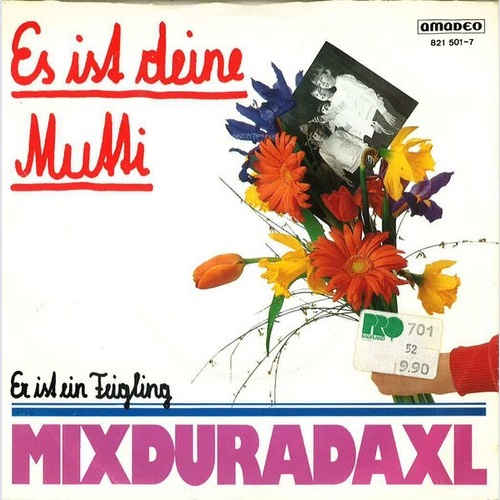 Mixduradaxl - Es Ist Deine Mutti (7", Single)