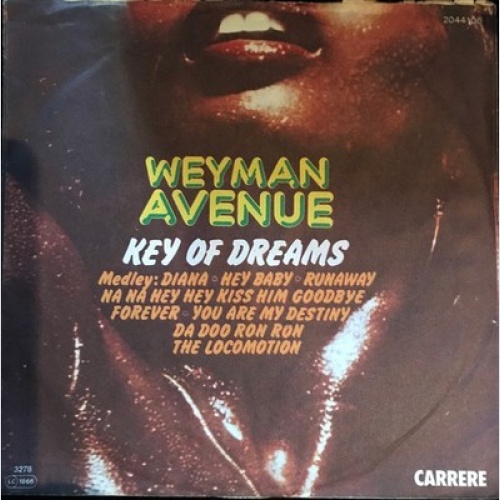 Weyman Avenue - Key Of Dreams (7", Single)