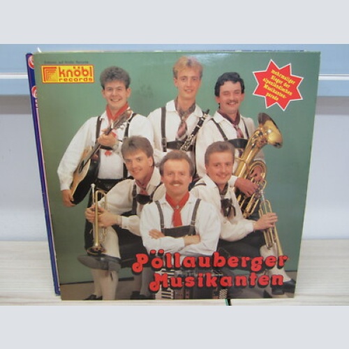 LP / Pöllauberger Musikanten - Viel Schwung  / Knöbl    Rec.  / AUSTRIA / RAR /