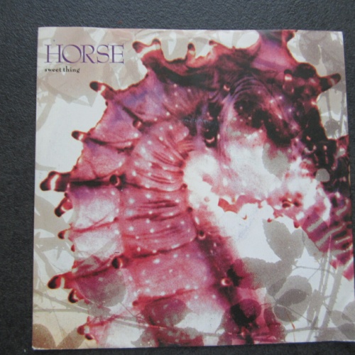 Single / Horse  ‎– Sweet Thing / DE Press /