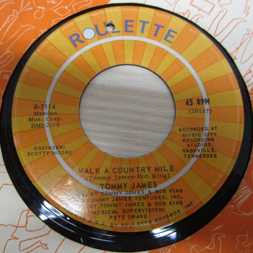 Single /   Tommy James ?– Nothing To Hide     /  US    PRESS / RAR /