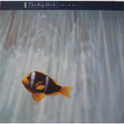 The Big Dish - Swimmer (LP, Album)