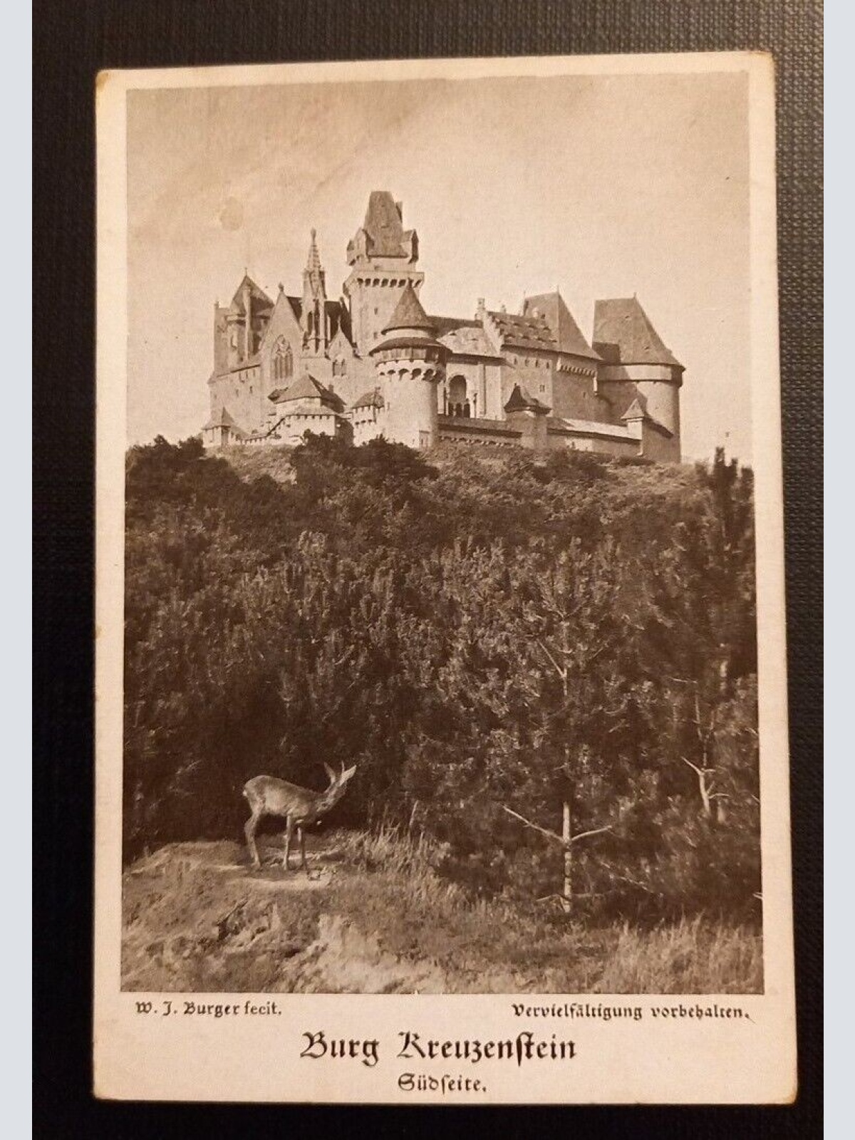 Ansichtskarte Niederösterreich Burg Kreuzenstein Südseite Ga