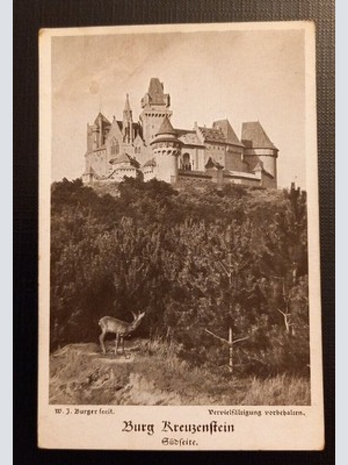 Ansichtskarte Niederösterreich Burg Kreuzenstein Südseite Ga