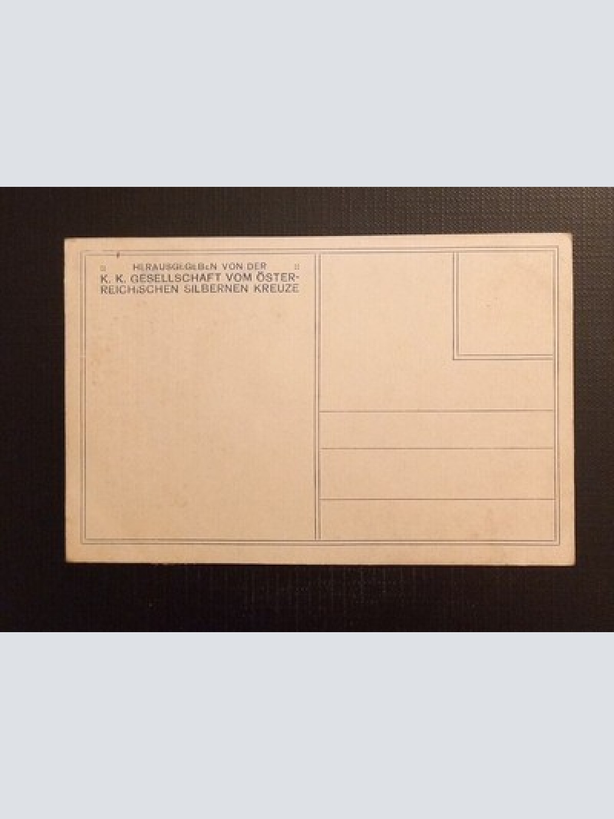 AK  Unser Landsturm Dr.Josef Bergauer Ga