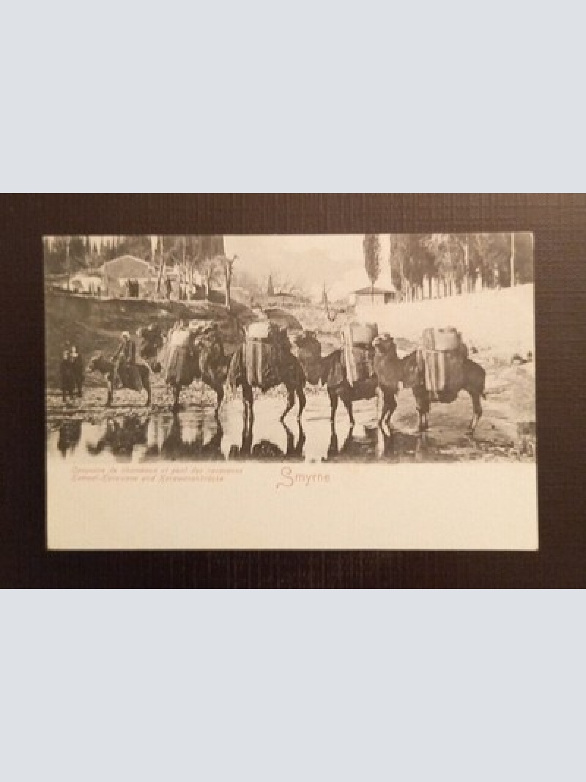AK  Türkei Smyrne Kameel Karawane 650233 Ga E