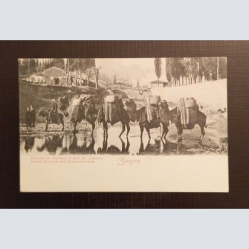 AK  Türkei Smyrne Kameel Karawane 650233 Ga E