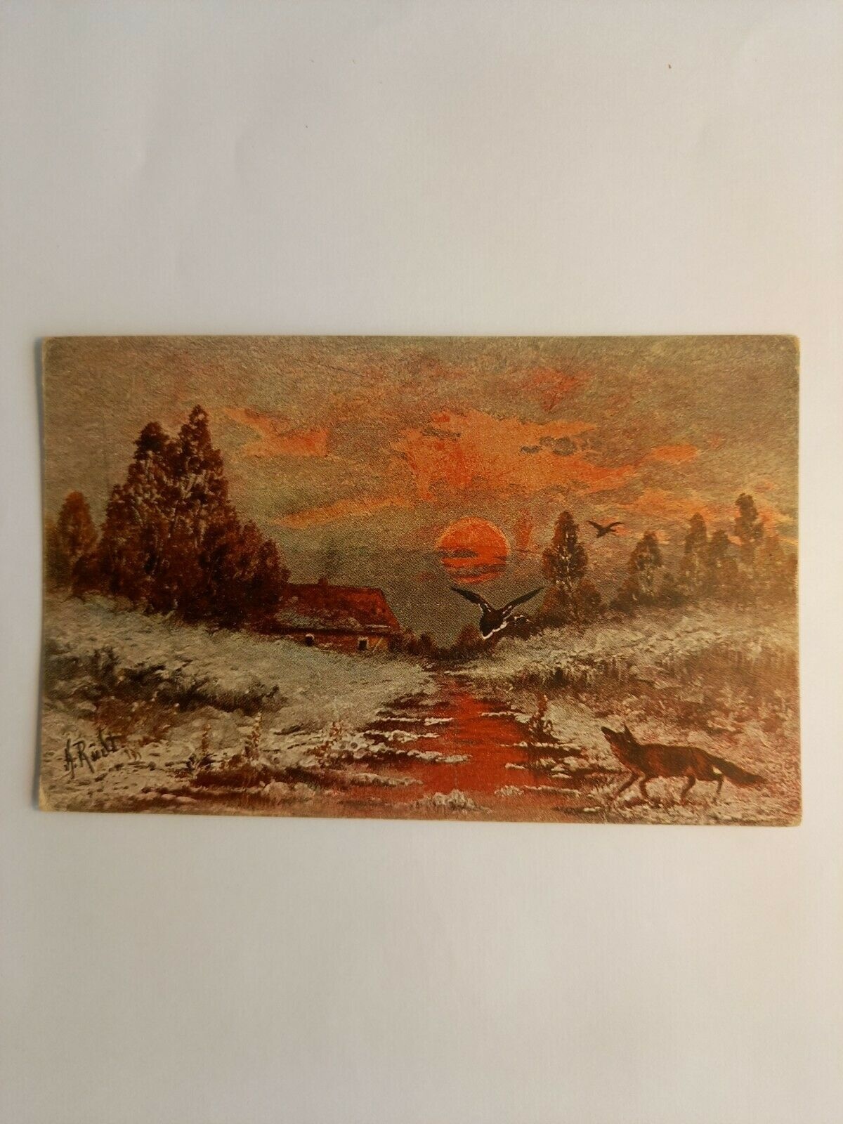 Künstlerkarte Abendrot Fuchs  180002 GR