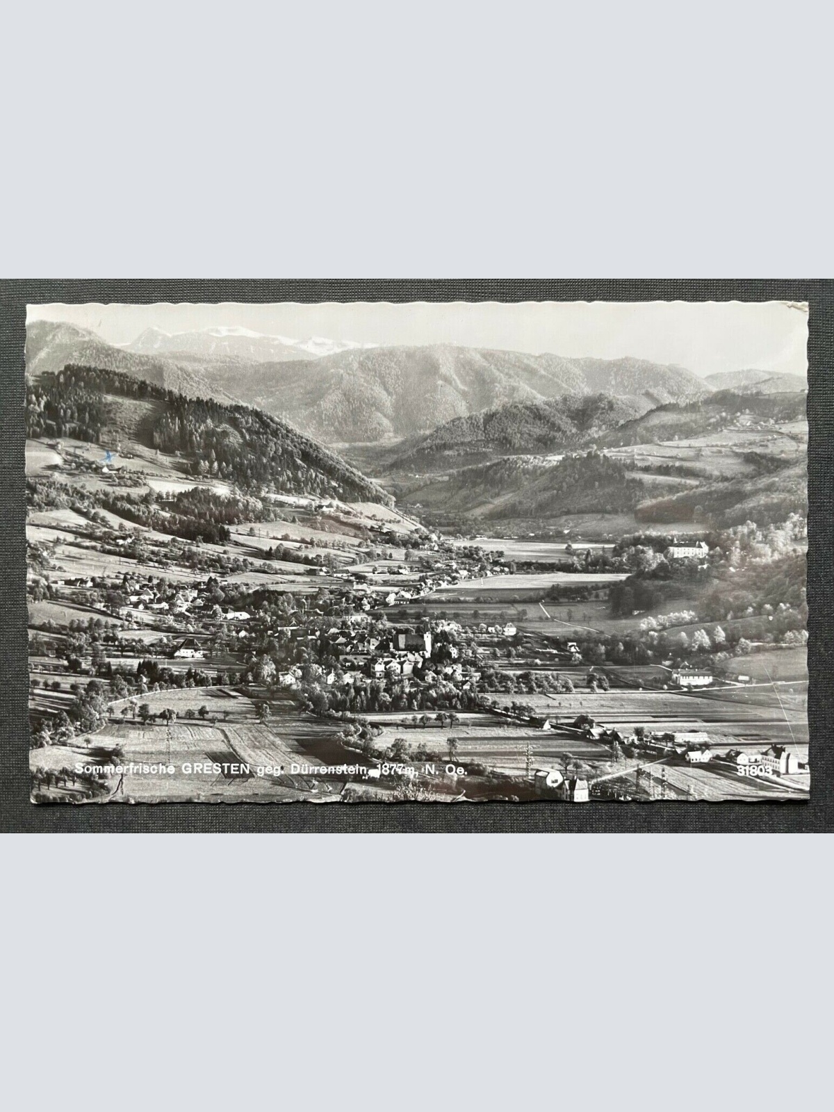 Sommerfrische Gresten gg.Dürrenstein Ort Gebirge Berg Niederösterreich 402668 C