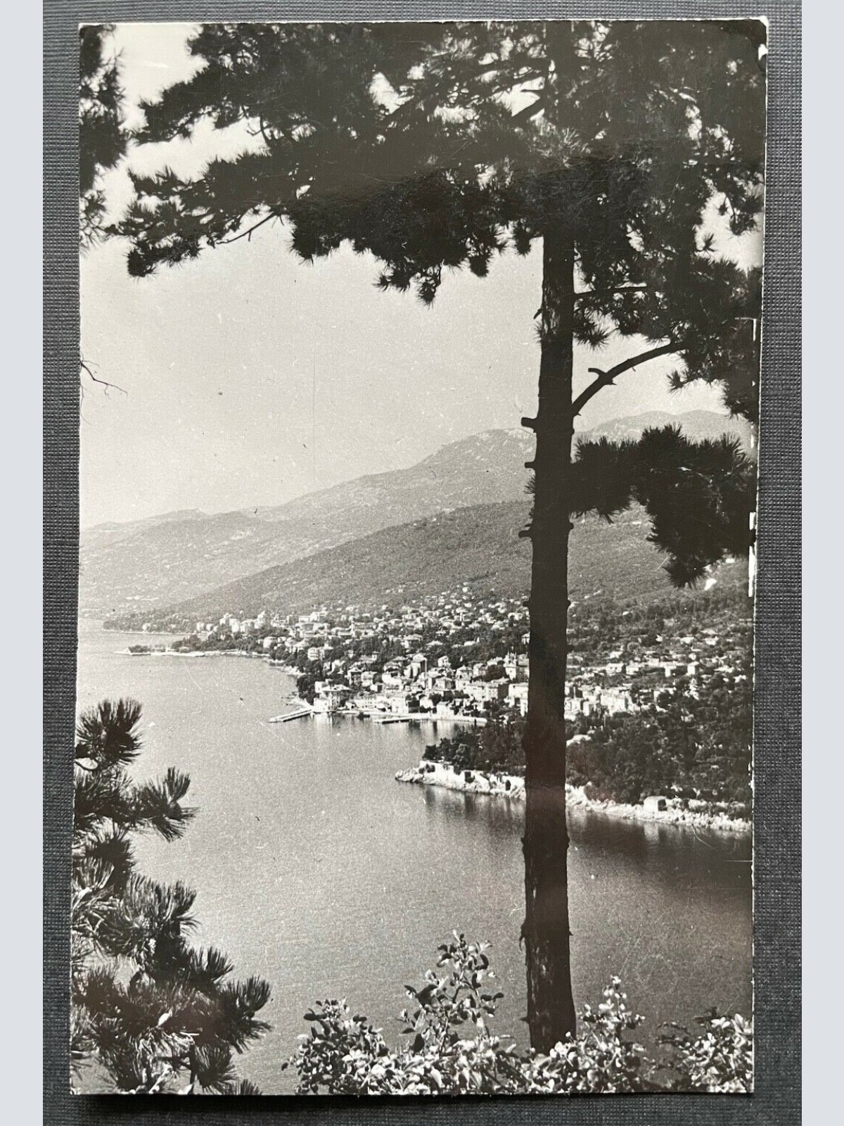 Opatija Seebad Bucht Ufer Istrien Baum Berg Kroatien Jugoslawien 402681 TH C