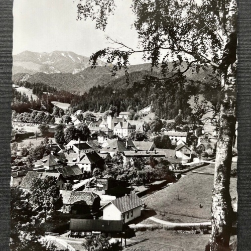 Sommerfrische St.Aegyd am Neuwalde Göller Ortschaft Niederösterreich 402678 TH C