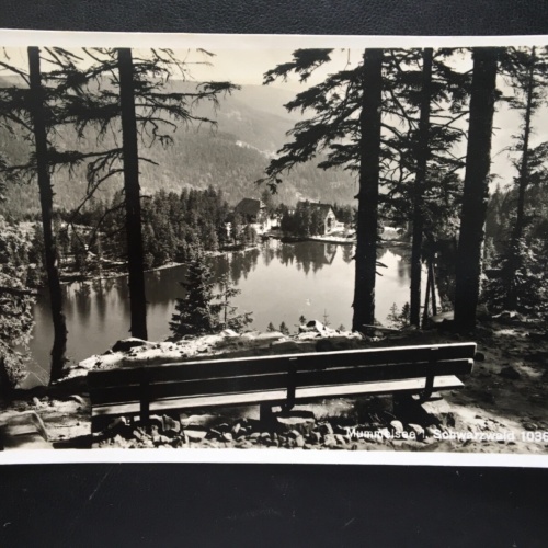 Mummelsee im Schwarzwald - Bank - Blick auf See 180170 TH G
