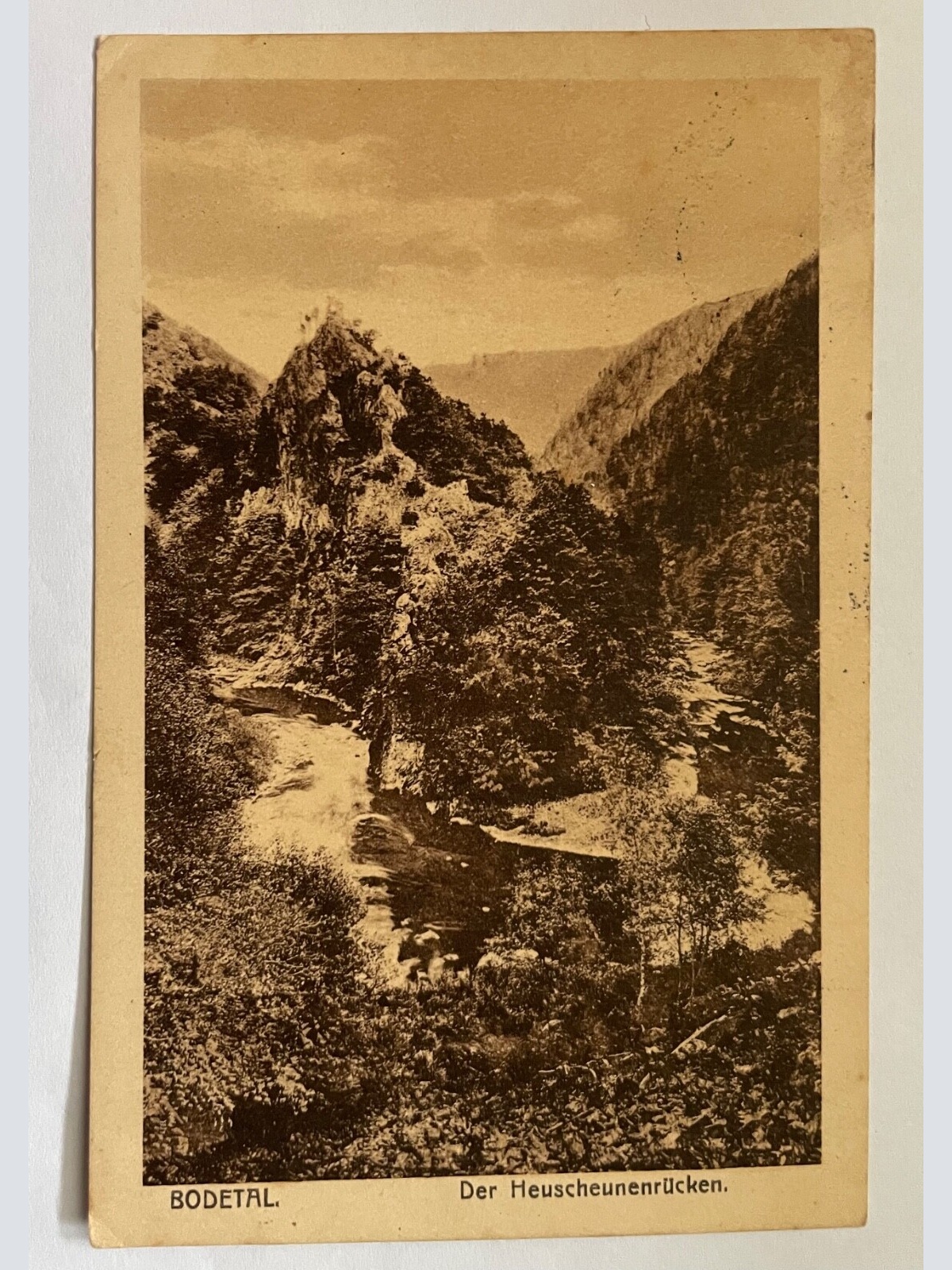 Bodetal Heuscheunenrücken Berg Harz Sachsen-Anhalt Deutschland 40039 K TH