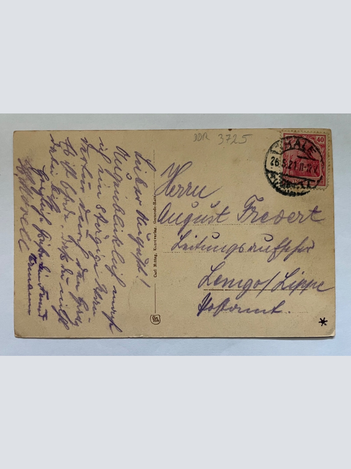 Bodetal Heuscheunenrücken Berg Harz Sachsen-Anhalt Deutschland 40039 K TH