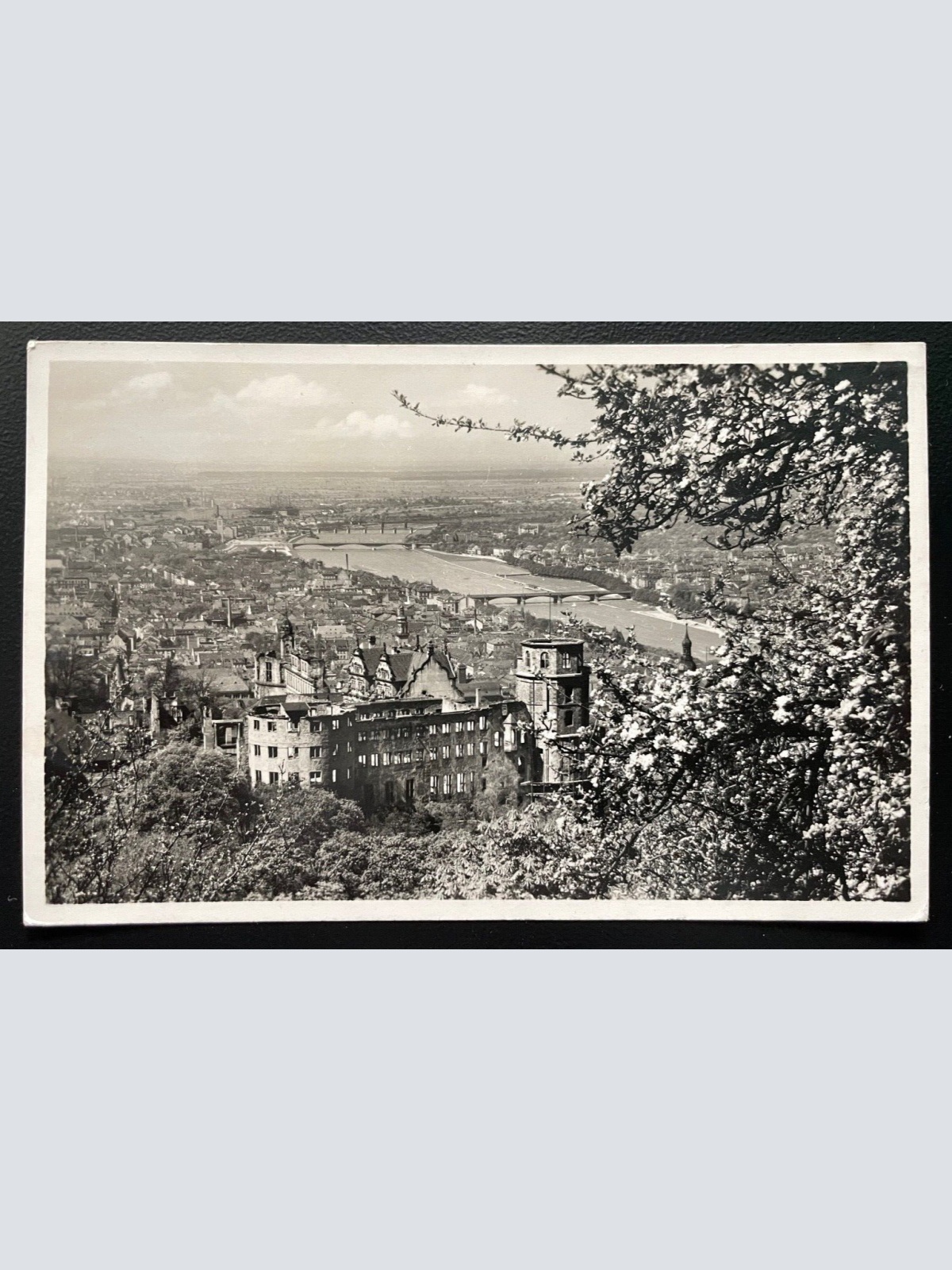 Ansichtskarte Frühling Heidelberg Stadtblick Gedicht Baden-Württemberg