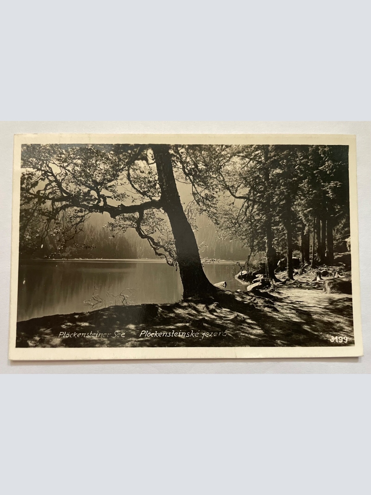 Plöckensteiner See Plekenštejnské Jezero Böhmerwald Tschechien 20271 K TH
