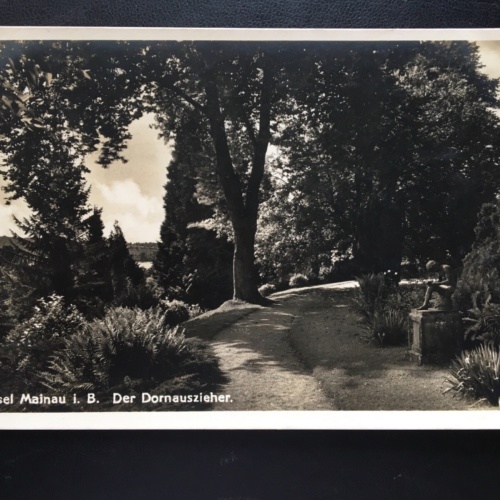 Insel Mainau im Bodensee - Der Dornauszieher - Statue - Baum 180181 TH