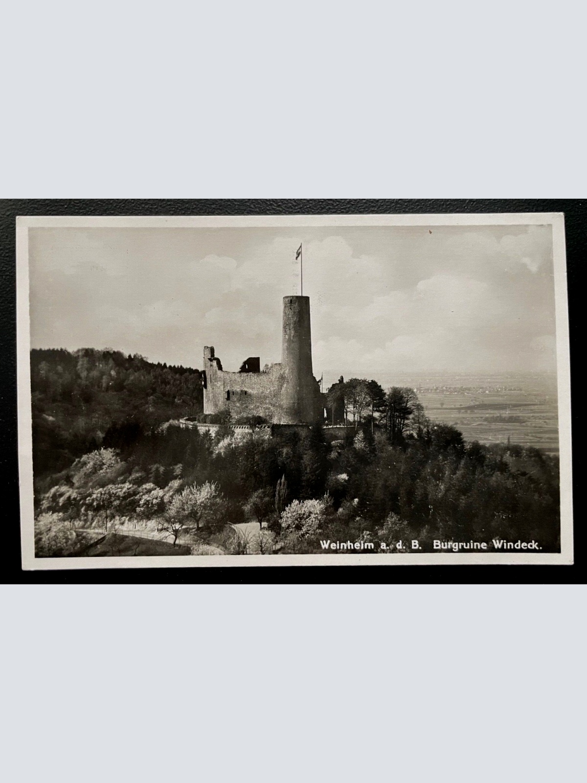 Weinheim Burgruine Windeck Festung Berg Baden-Württemberg Deutschland 600143A D