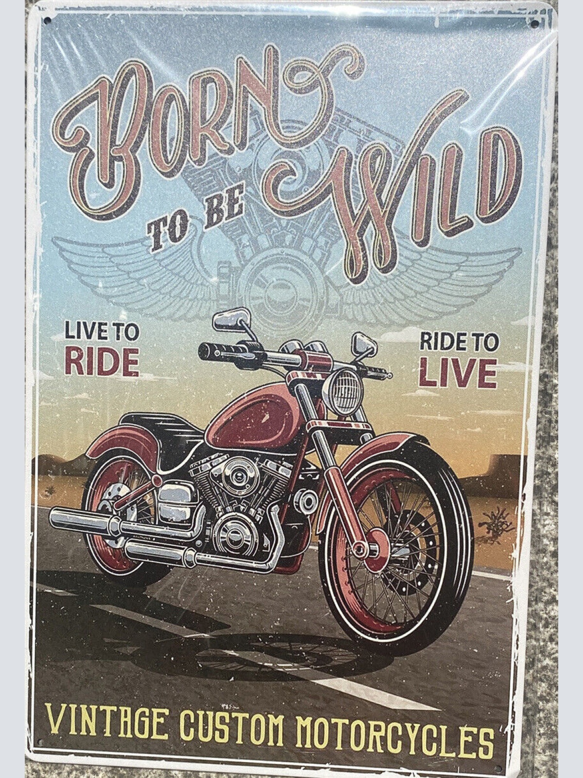 Born to be wild Vintage Motorcycle Motorrad Schild 30x20 70007