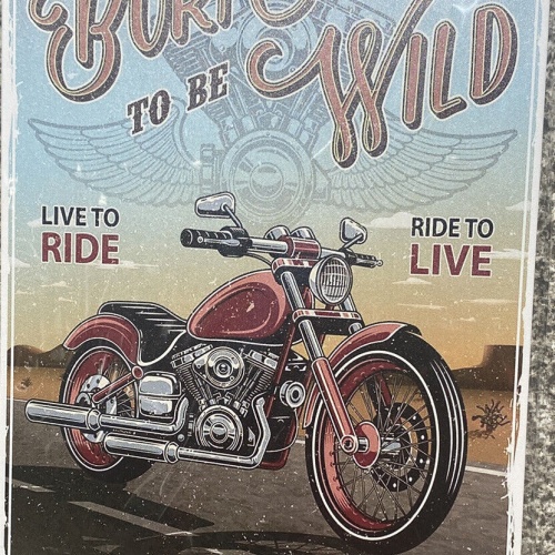 Born to be wild Vintage Motorcycle Motorrad Schild 30x20 70007
