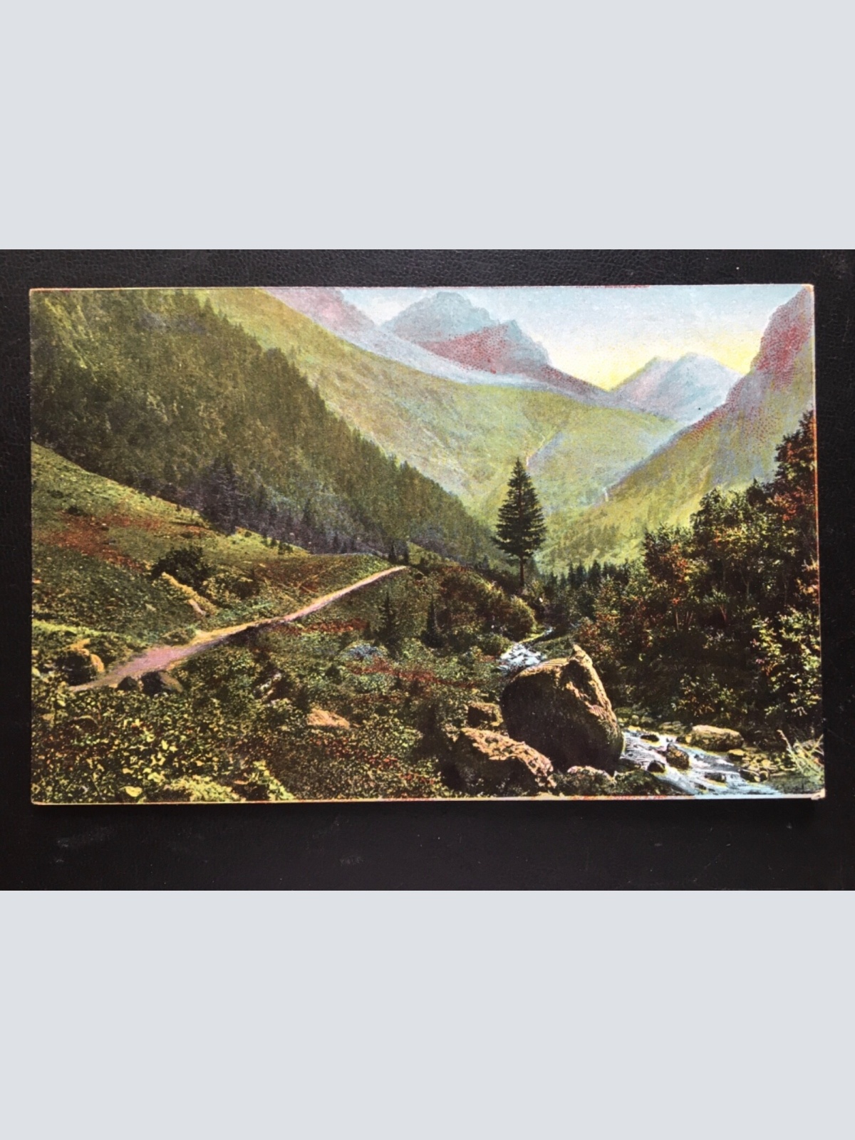 Berglandschaft - Bach - Nadelbaum - Gebirge 180188 TH G