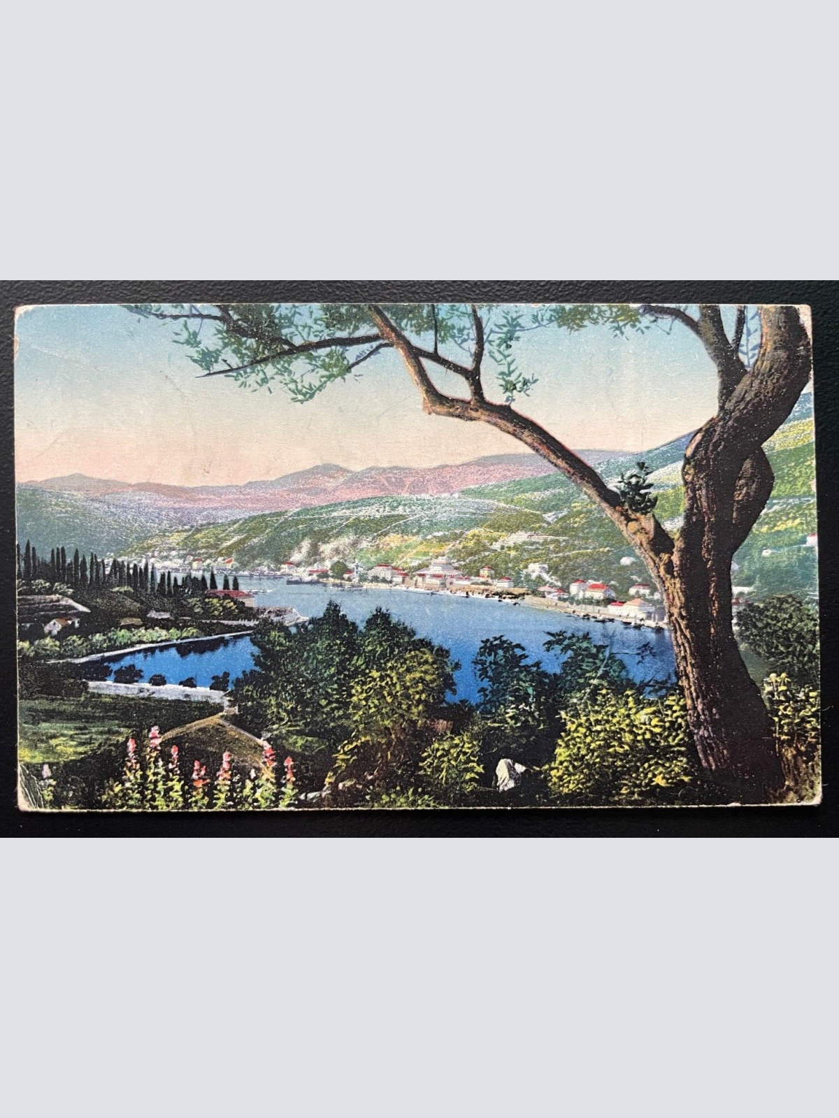 Gruž Gravosa Hafen Ufer Baum Landschaft Malerei Dubrovnik Kroatien 600115A TH D