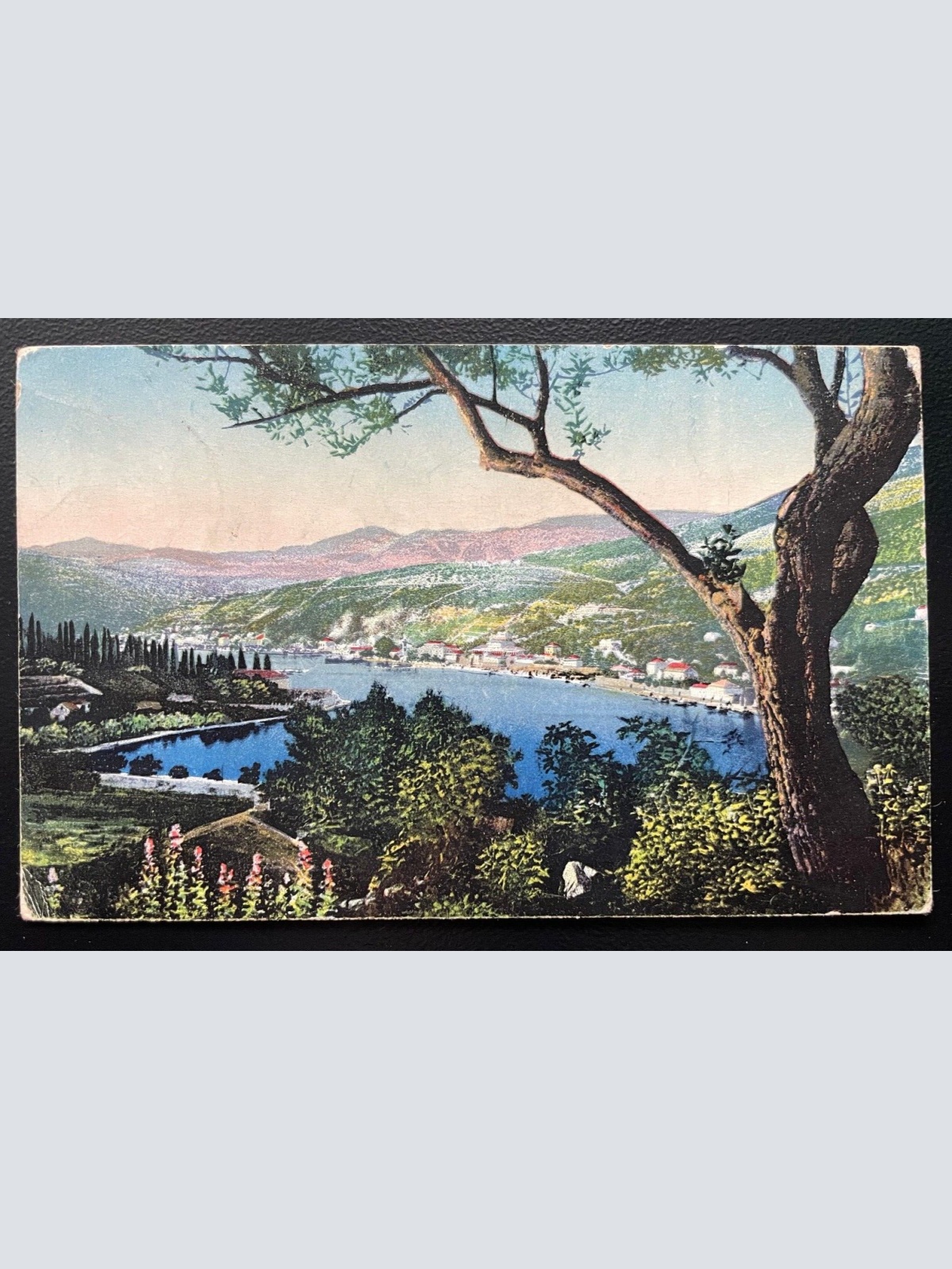 Gruž Gravosa Hafen Ufer Baum Landschaft Malerei Dubrovnik Kroatien 600115A TH D