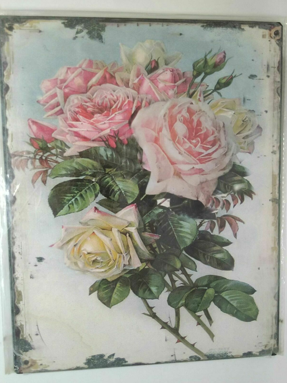Nostalgie Retro Blechschild Rosen rosa Strauß 25x20 50173