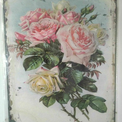 Nostalgie Retro Blechschild Rosen rosa Strauß 25x20 50173