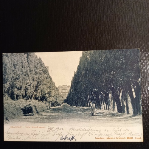 Frascati 400441 gr D