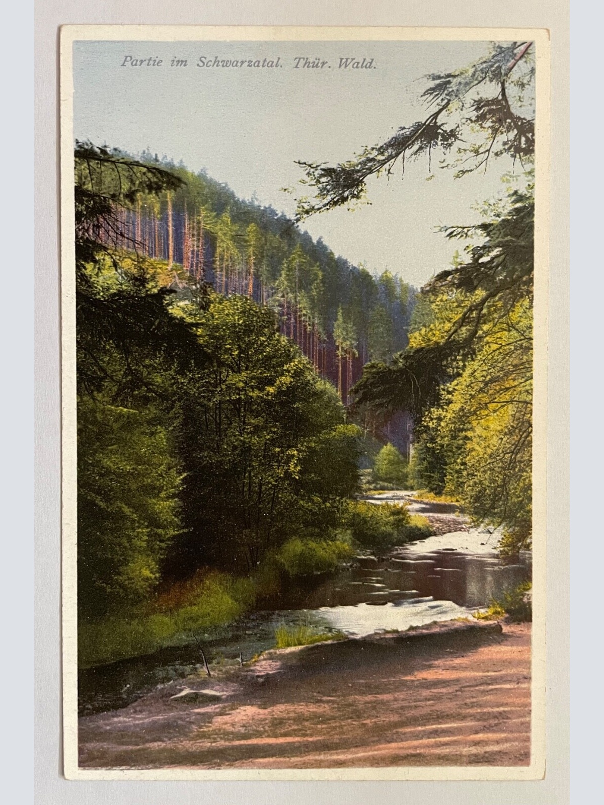 Partie Im Schwarzwald Thüringen Wald Fluss Baum Deutschland 180194 K TH