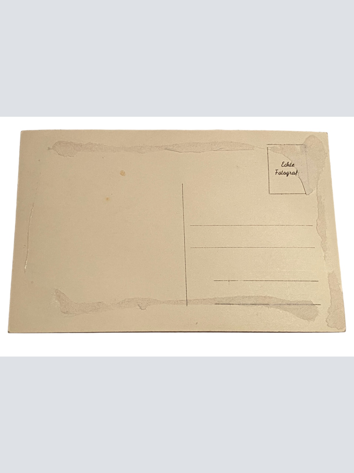 Wien Rathaus Echte Fotografie 10035