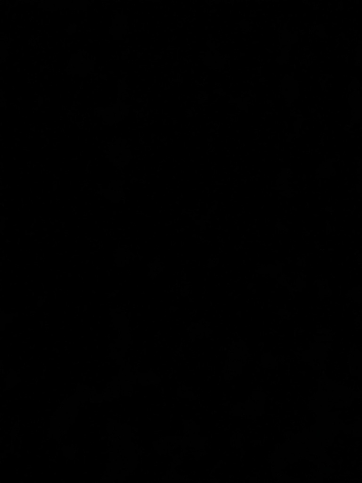 Ridin' High Palmer, Robert: