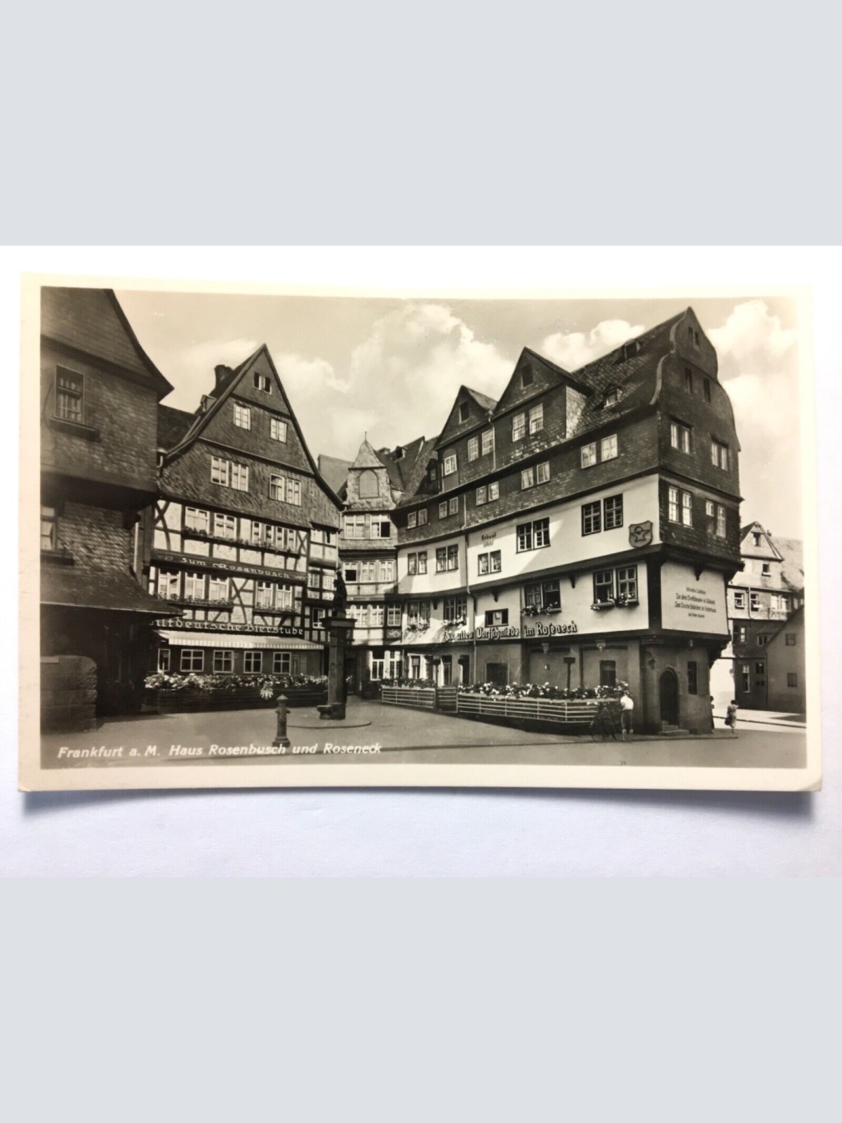 Frankfurt am Main - Haus Rosenbusch und Roseneck 50023 TH