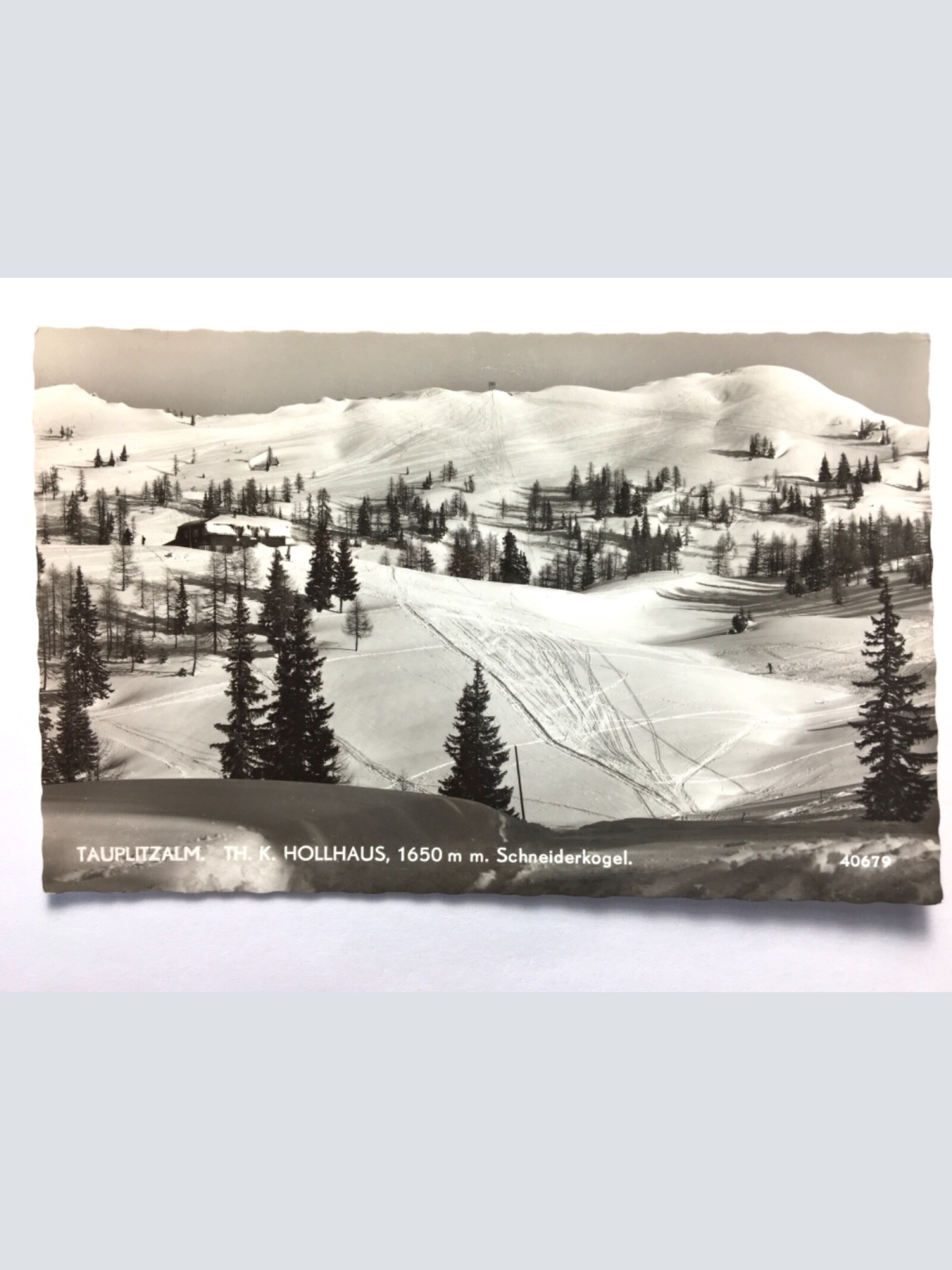 Tauplitzalm - Th.K. Hollhaus - Schneiderkogel 50035 TH D