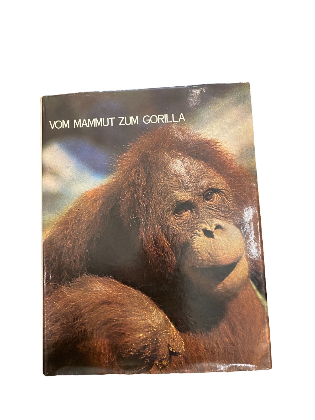 2696 D. GEHEIMNISSE D. TIERWELT BD I: SÄUGETIERE I: VOM MAMMUT ZUM GORILLA