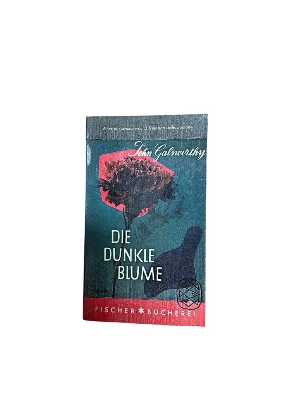 John Galsworthy: Die dunkle Blume