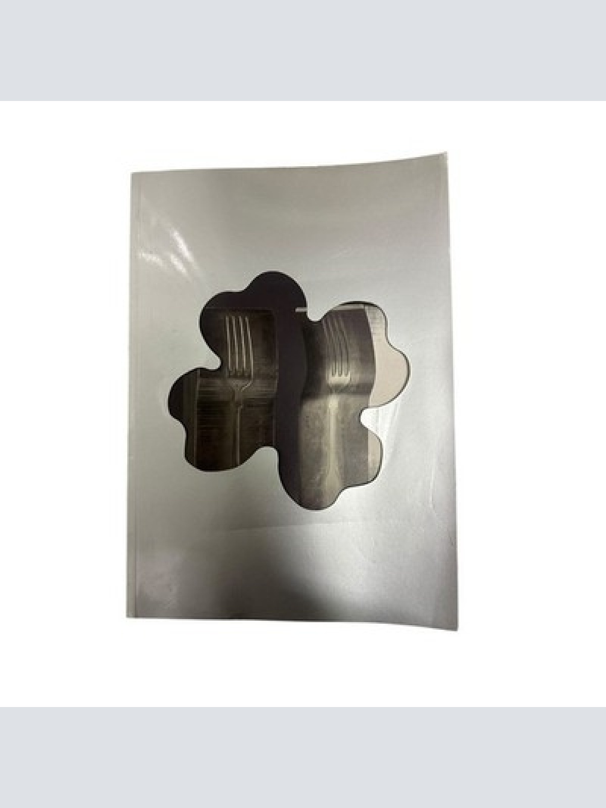 9435 Ingrid Haslinger ALEXANDER STURM - DIE WIENER SILBERMANUFAKTUR UND DIE WIED