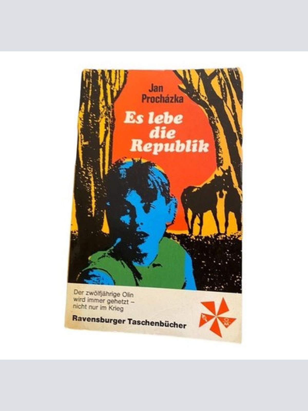 2494 Jan Procházka ES LEBE DIE REPUBLIK Ravensburger Taschenbücher