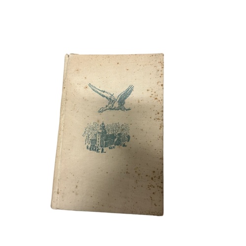 5854 Selma Lagerlöf NILS HOLGERSSONS WUNDERBARE REISE MIT DEN WILDGÄNSEN