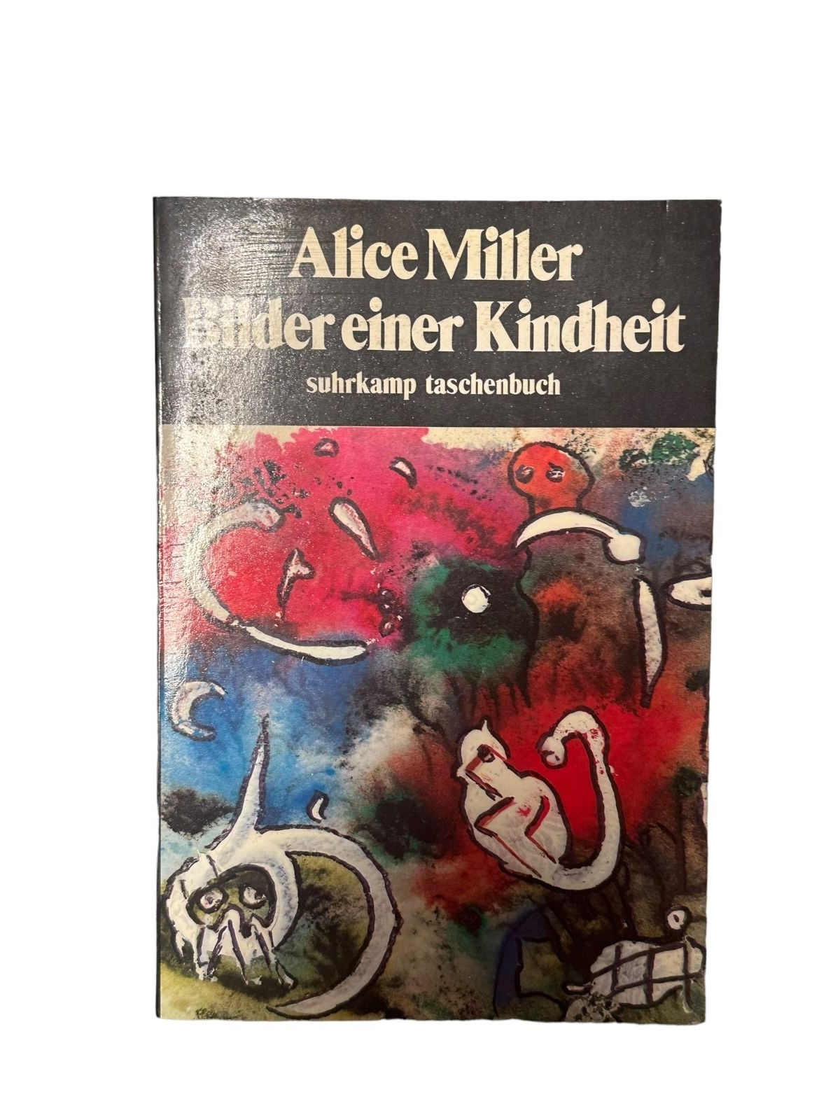 6632 Alice Miller BILDER EINER KINDHEIT. 66 AQUARELLE UND EIN ESSAY +Abb